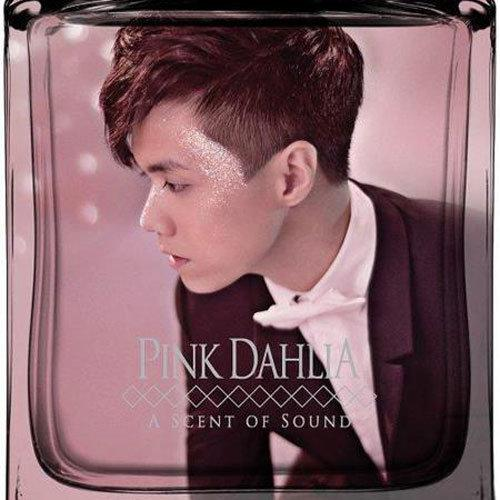未知歌词 歌手张敬轩-专辑Pink Dahlia-单曲《未知》LRC歌词下载