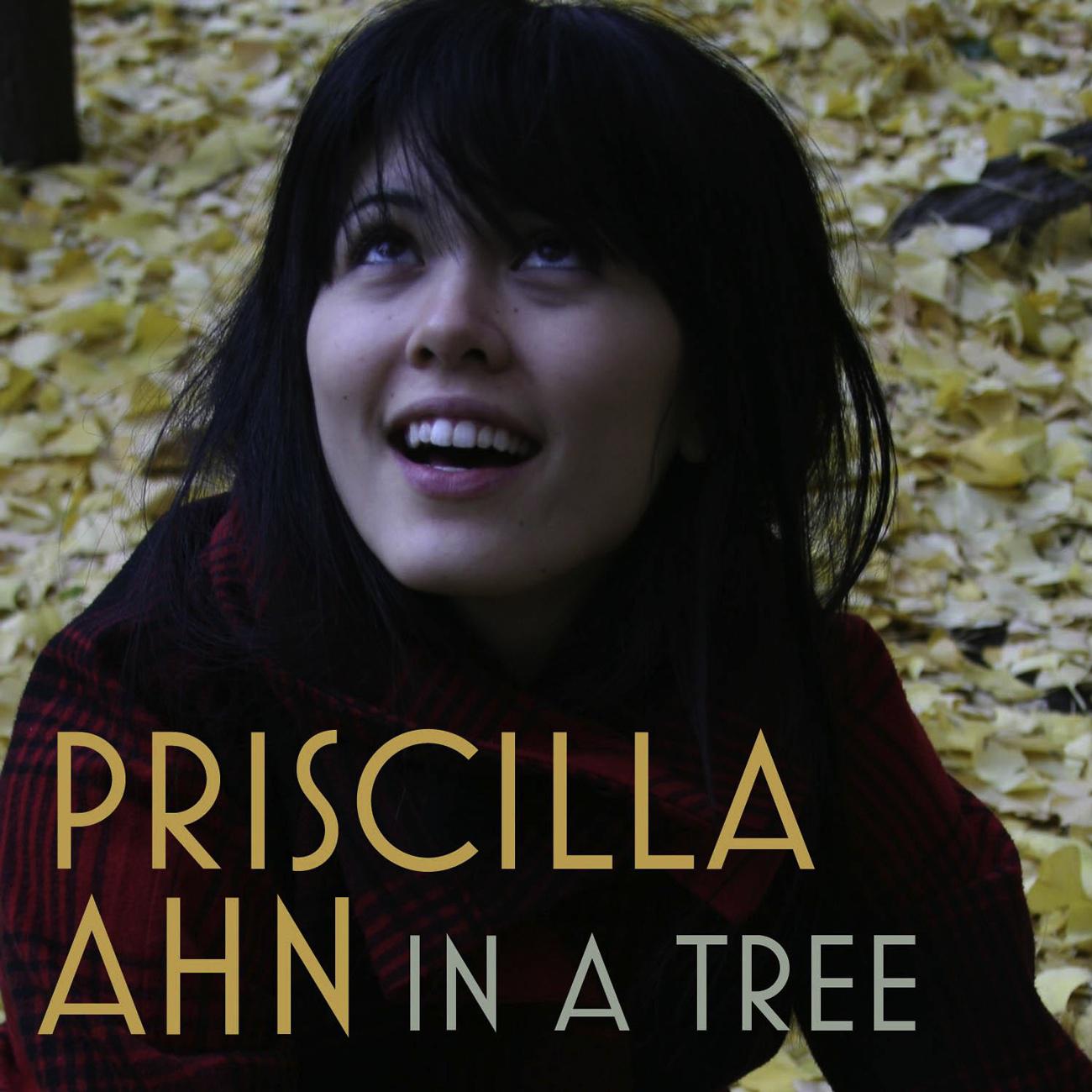In A Tree歌词 歌手Priscilla Ahn-专辑In A Tree-单曲《In A Tree》LRC歌词下载