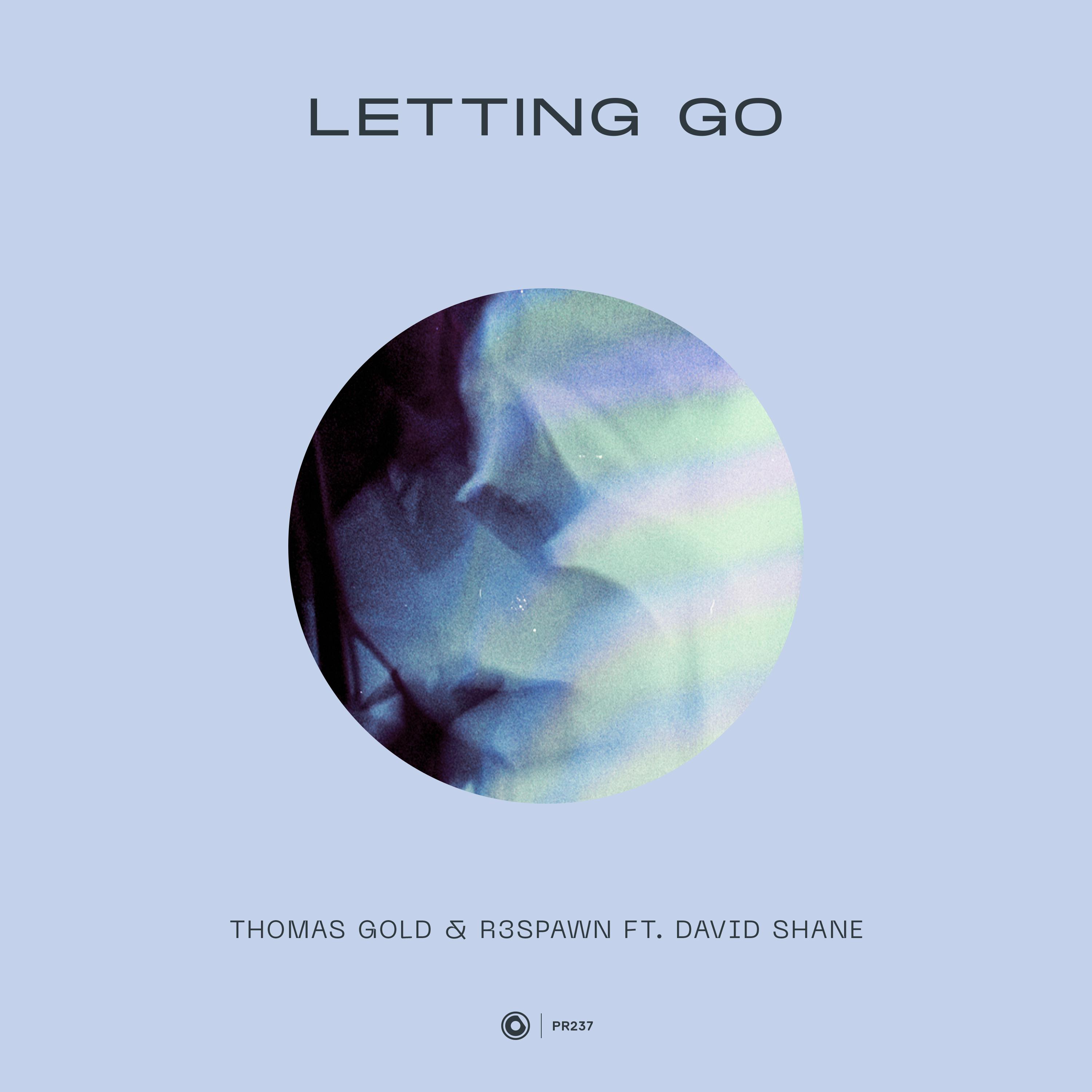Letting Go歌词 歌手Thomas Gold / R3SPAWN / David Shane-专辑Letting Go-单曲《Letting Go》LRC歌词下载