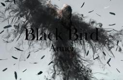 思い出は奇麗で歌词 歌手Aimer-专辑Black BirdTiny Dancers思い出は奇麗で-单曲《思い出は奇麗で》LRC歌词下载