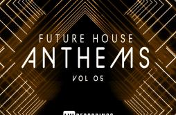 Want U More (Radio Edit)歌词 歌手Hi Noise-专辑Future House Anthems, Vol. 05-单曲《Want U More (Radio Edit)》LRC歌词下载