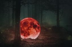 숲의 목소리 (Voice Of The Forest)歌词 歌手MaktubRaon Lee-专辑Red Moon : The Piano Forest-单曲《숲의 목소리 (Voice Of The Forest)》LRC歌词下载