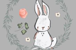 兔子的玫瑰园歌词 歌手Raina-专辑重返校园时代-单曲《兔子的玫瑰园》LRC歌词下载