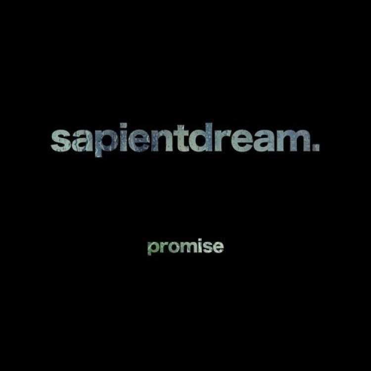 Promise歌词 歌手sapientdream-专辑Promise-单曲《Promise》LRC歌词下载