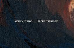 Such Bitter Ends歌词 歌手Joshua Hyslop-专辑Such Bitter Ends-单曲《Such Bitter Ends》LRC歌词下载