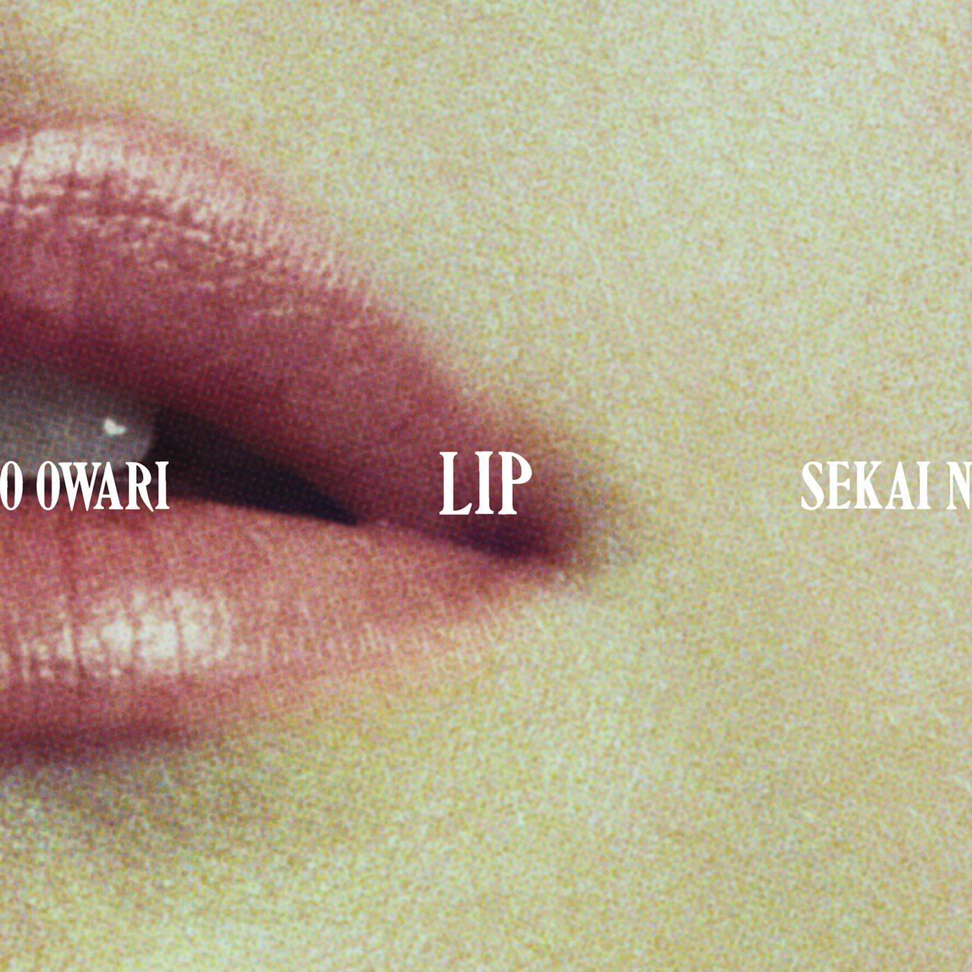 向日葵歌词 歌手Sekai no Owari-专辑Lip-单曲《向日葵》LRC歌词下载