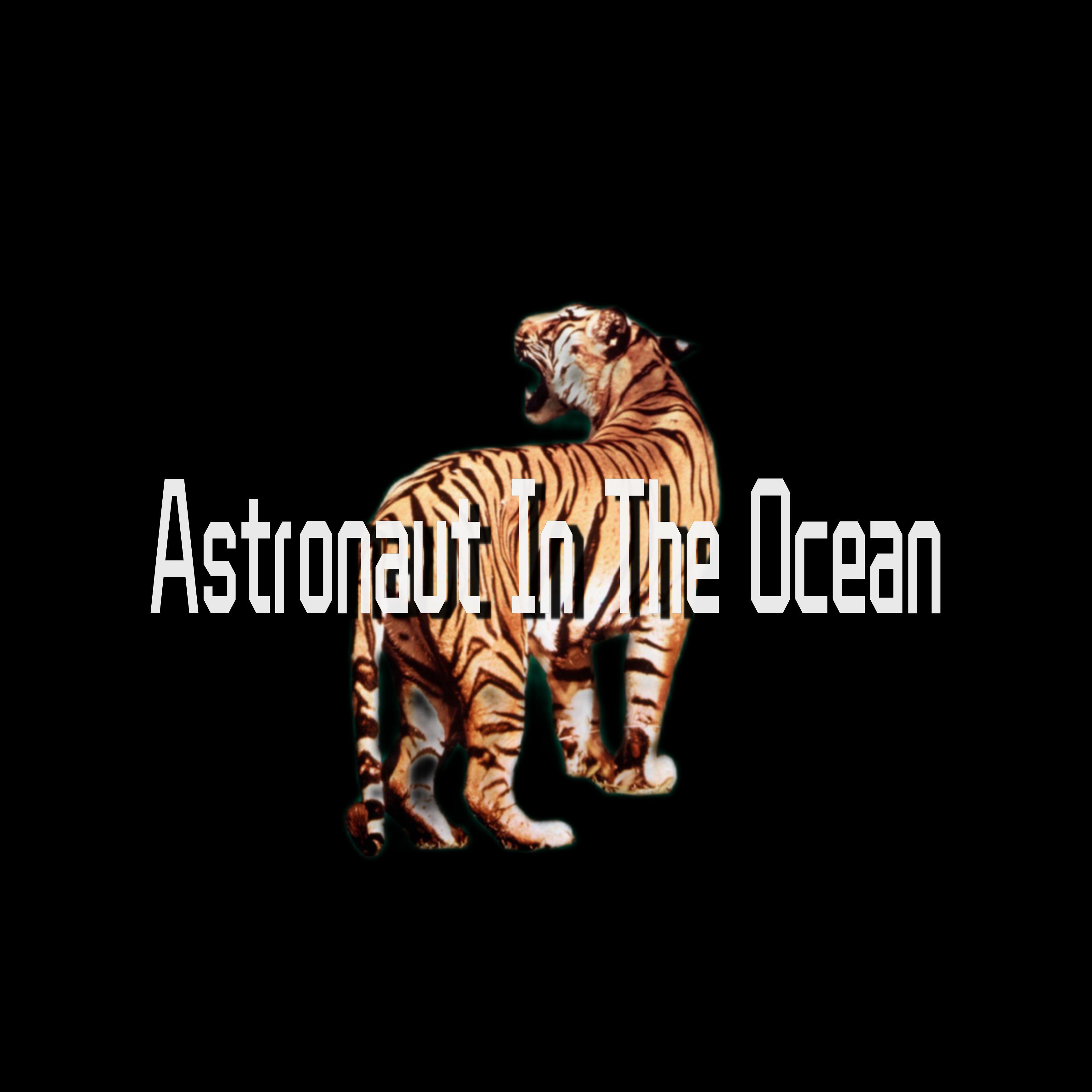 Astronaut In The Ocean (Original Mix)歌词 歌手H2R / 恩赐-专辑Astronaut In The Ocean-单曲《Astronaut In The Ocean (Original Mix)》LRC歌词下载