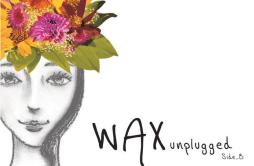 벌써 일년歌词 歌手Wax-专辑WAX Unplugged Side B-单曲《벌써 일년》LRC歌词下载