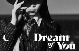 Dream of You (with R3HAB)歌词 歌手金请夏R3HAB-专辑Dream of You (with R3HAB)-单曲《Dream of You (with R3HAB)》LRC歌词下载