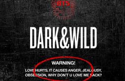 Danger歌词 歌手BTS (防弹少年团)-专辑DARK&WILD-单曲《Danger》LRC歌词下载