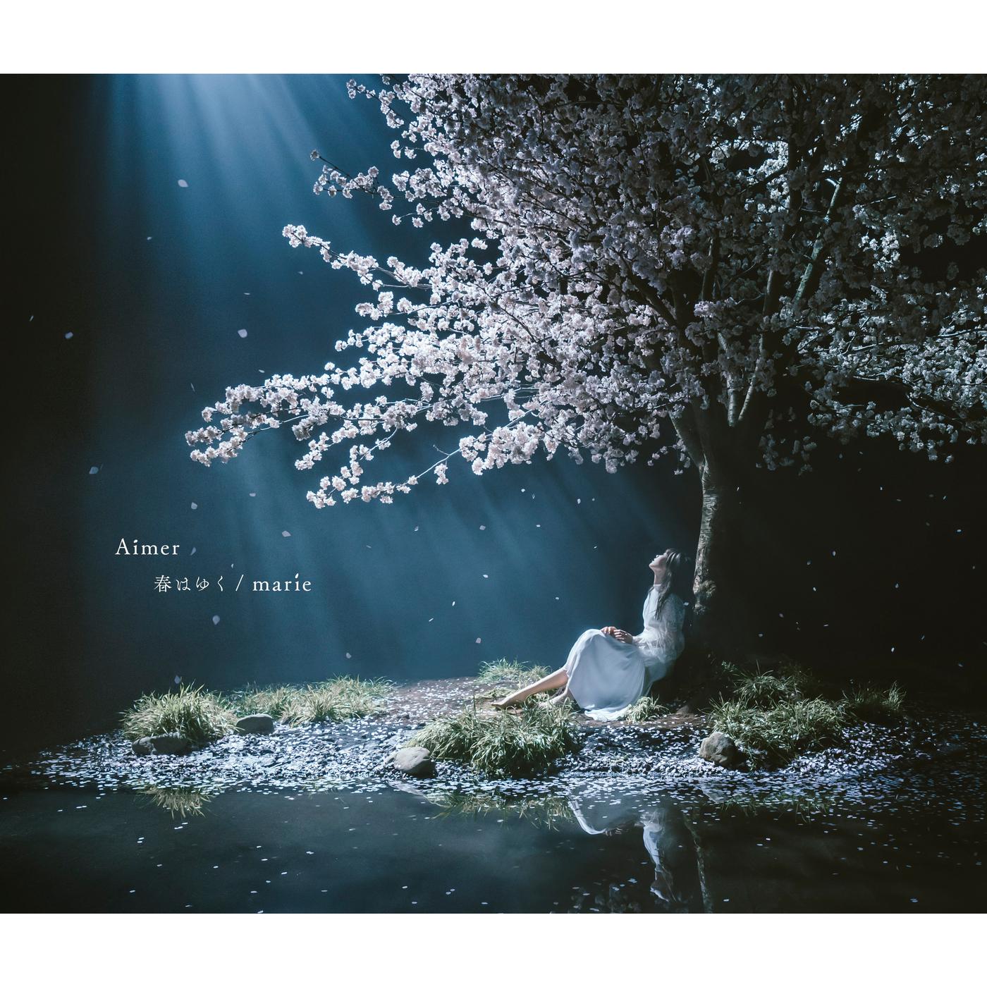 marie歌词 歌手Aimer-专辑春はゆく / marie - (春逝 / marie)-单曲《marie》LRC歌词下载