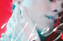 罗宾歌词 歌手张敬轩-专辑Vibes-单曲《罗宾》LRC歌词下载