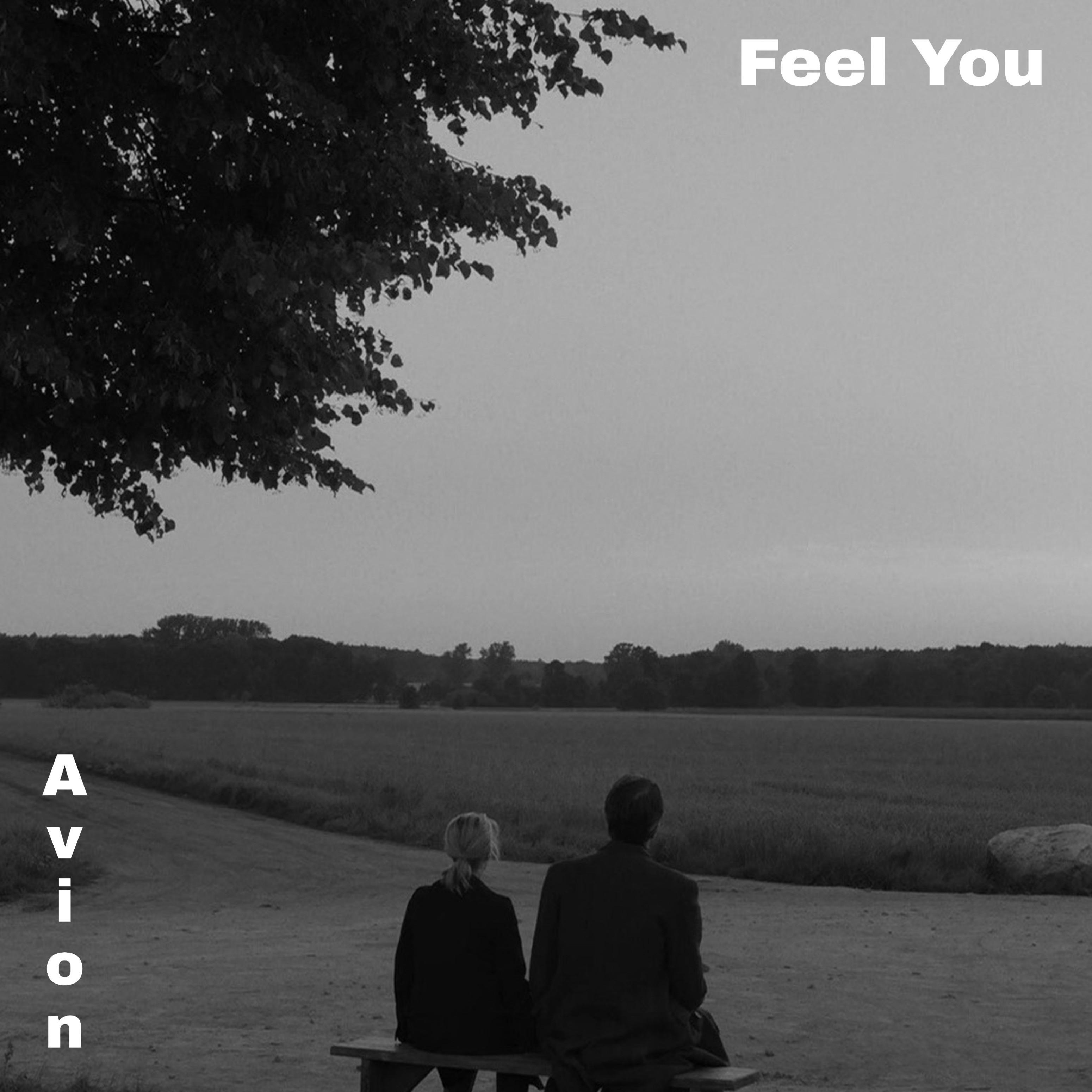 Feel You歌词 歌手Avion / Meg Myers-专辑Feel You-单曲《Feel You》LRC歌词下载