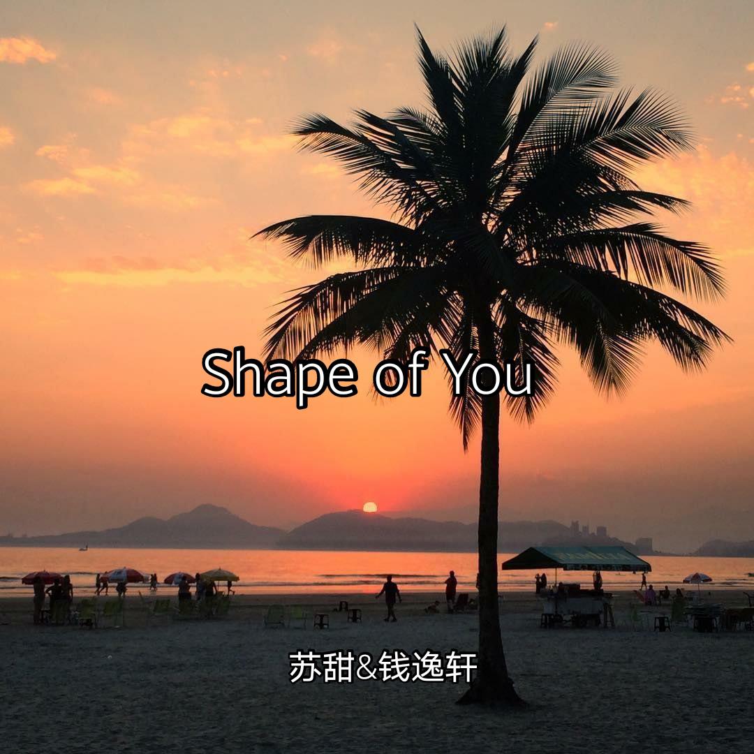 Starboy(Remix)歌词 歌手苏甜 / 钱逸轩-专辑Shape Of You-单曲《Starboy(Remix)》LRC歌词下载