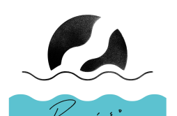 Summer歌词 歌手Yogee New Waves-专辑PARAISO-单曲《Summer》LRC歌词下载