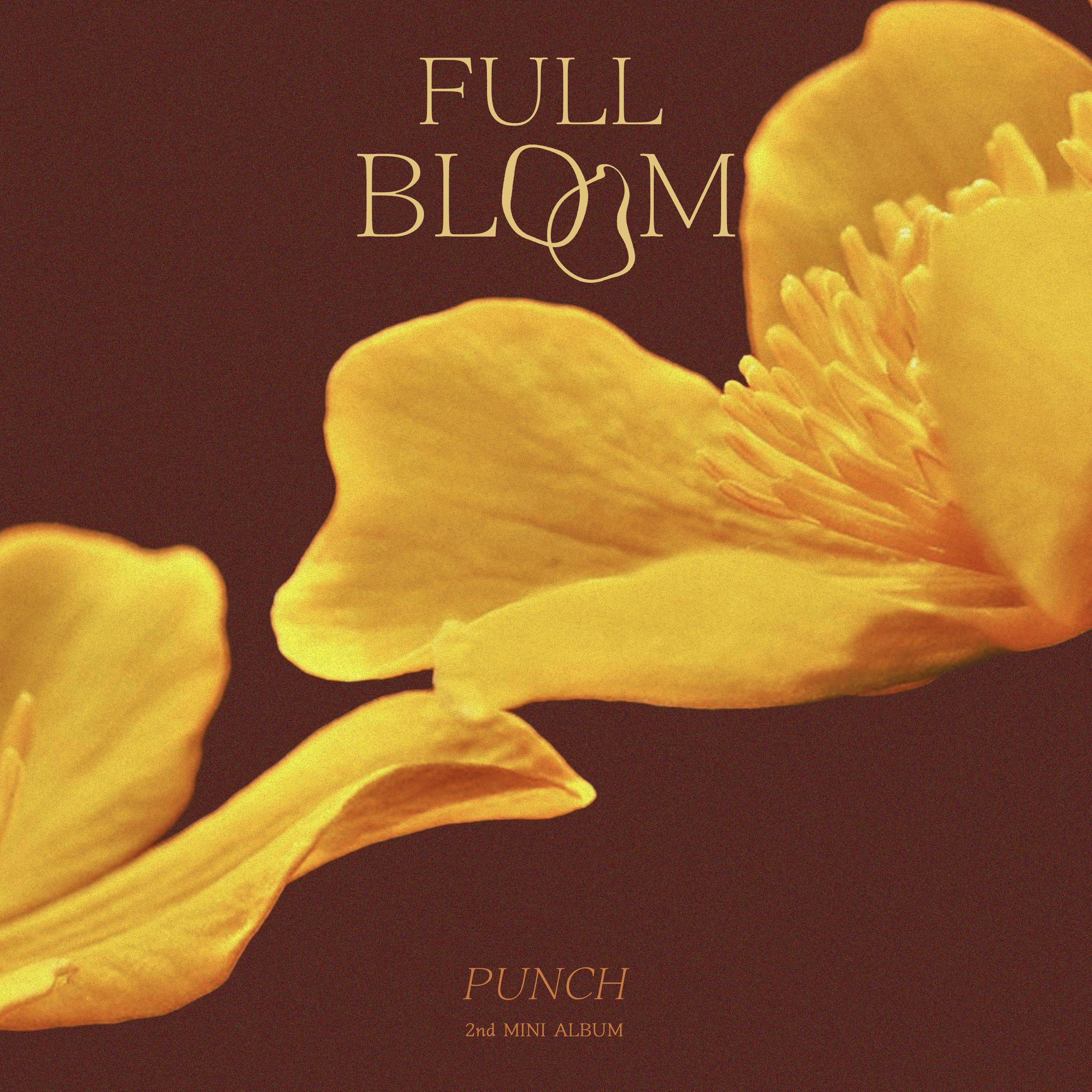 아니歌词 歌手Punch-专辑Full Bloom (만개)-单曲《아니》LRC歌词下载