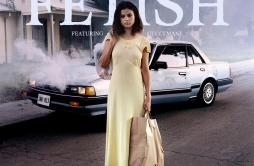 Fetish歌词 歌手Selena GomezGucci Mane-专辑Fetish-单曲《Fetish》LRC歌词下载