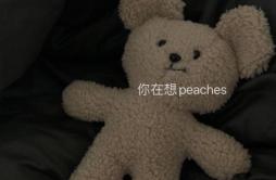 Peaches歌词 歌手YANGHAHA-专辑Peaches-单曲《Peaches》LRC歌词下载