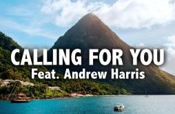 Calling For You歌词 歌手AxeroAndrew Harris-专辑Calling For You-单曲《Calling For You》LRC歌词下载