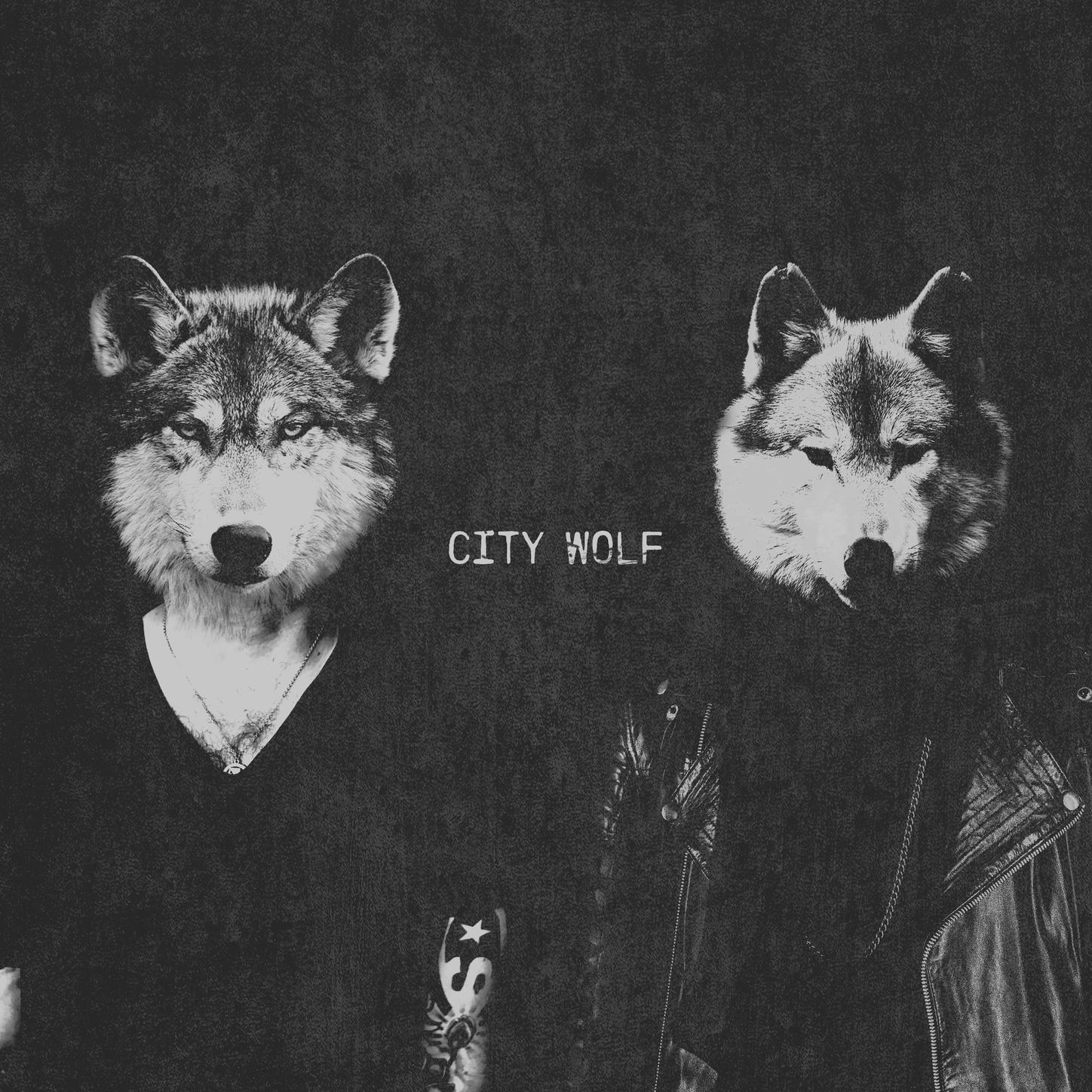 Face In The Dark (ft. Panther)歌词 歌手City Wolf-专辑Face In The Dark-单曲《Face In The Dark (ft. Panther)》LRC歌词下载
