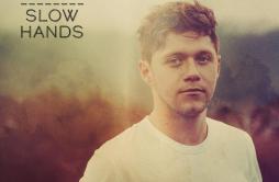 Slow Hands歌词 歌手Niall Horan-专辑Slow Hands-单曲《Slow Hands》LRC歌词下载