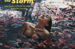 After The Storm歌词 歌手Kali UchisTyler, The CreatorBootsy Collins-专辑After The Storm-单曲《After The Storm》LRC歌词下载