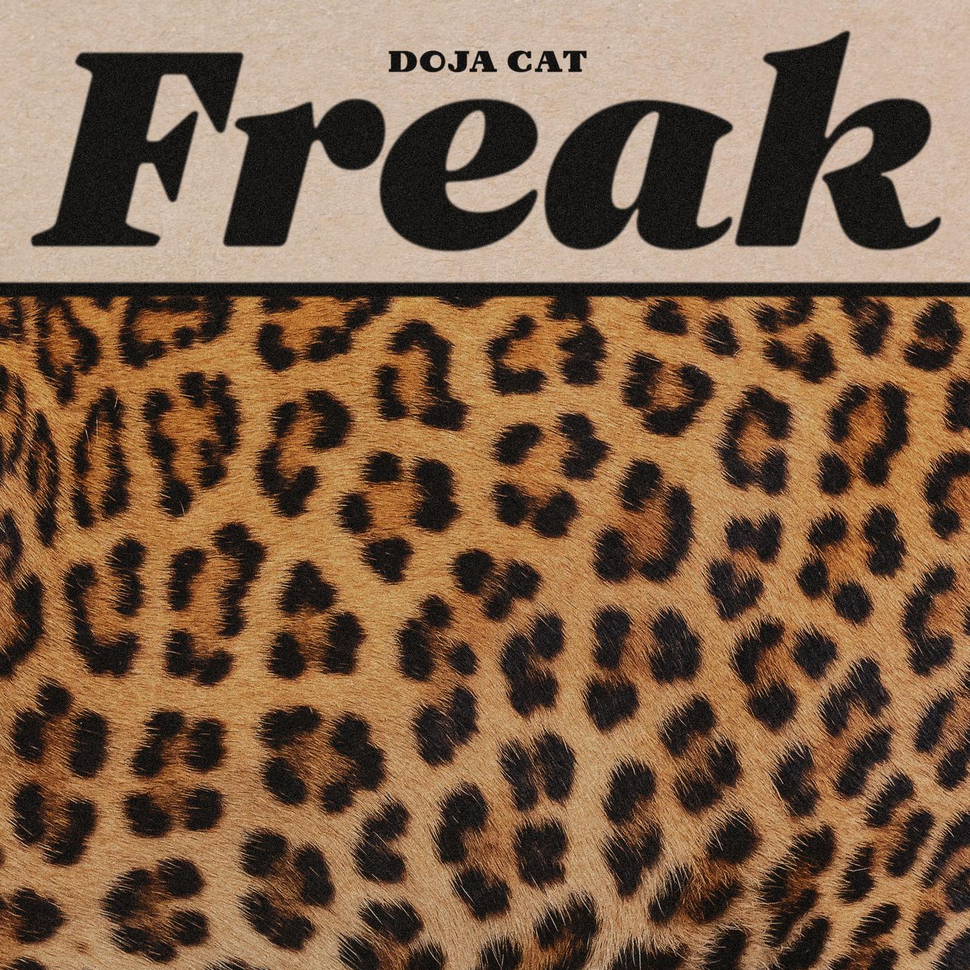 Freak歌词 歌手Doja Cat-专辑Freak-单曲《Freak》LRC歌词下载