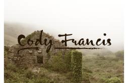 It's Been So Long歌词 歌手Cody Francis-专辑It's Been So Long-单曲《It's Been So Long》LRC歌词下载