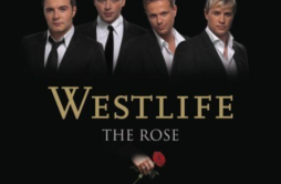 Nothing's Gonna Change My Love For You歌词 歌手Westlife-专辑The Rose-单曲《Nothing's Gonna Change My Love For You》LRC歌词下载