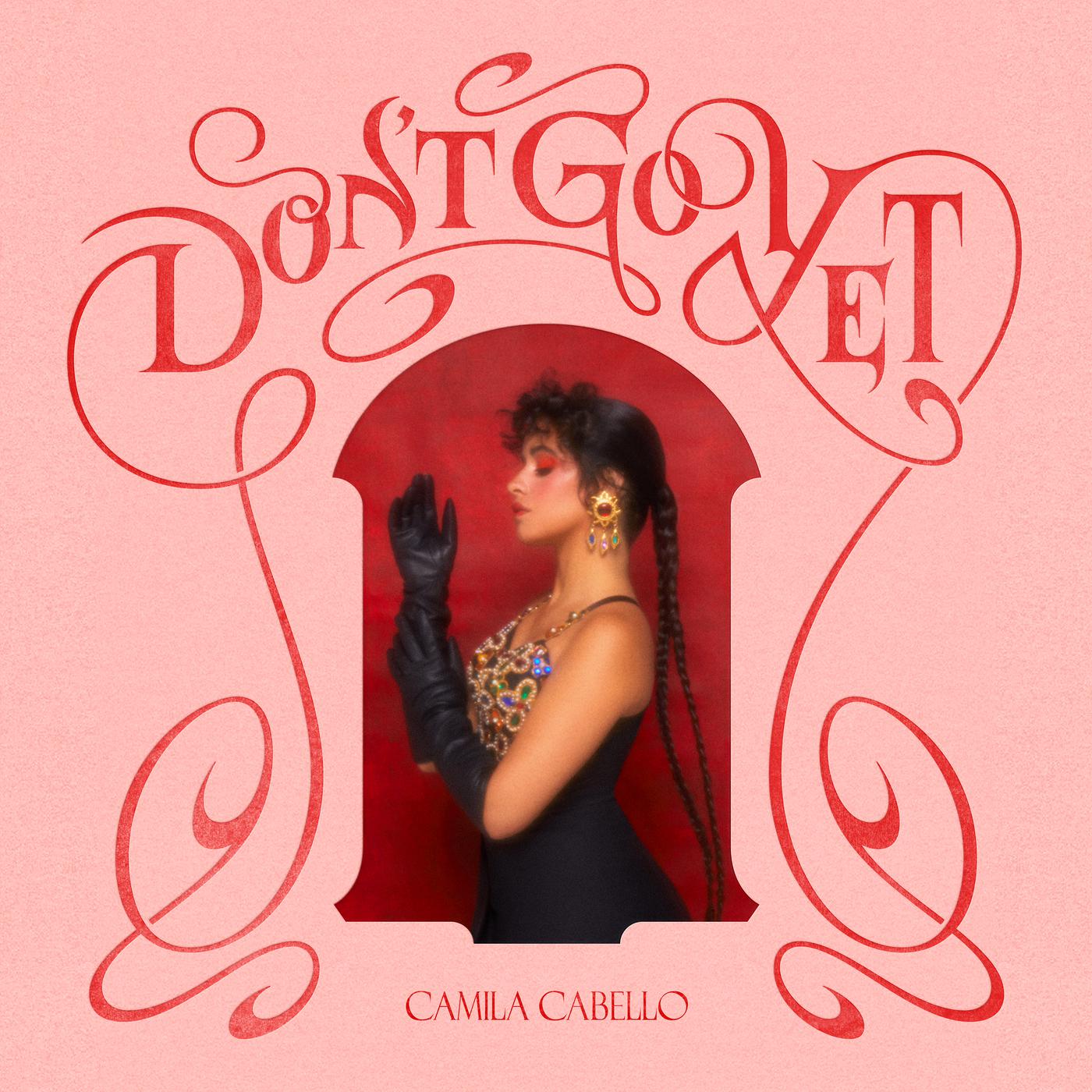 Don't Go Yet歌词 歌手Camila Cabello-专辑Don't Go Yet-单曲《Don't Go Yet》LRC歌词下载