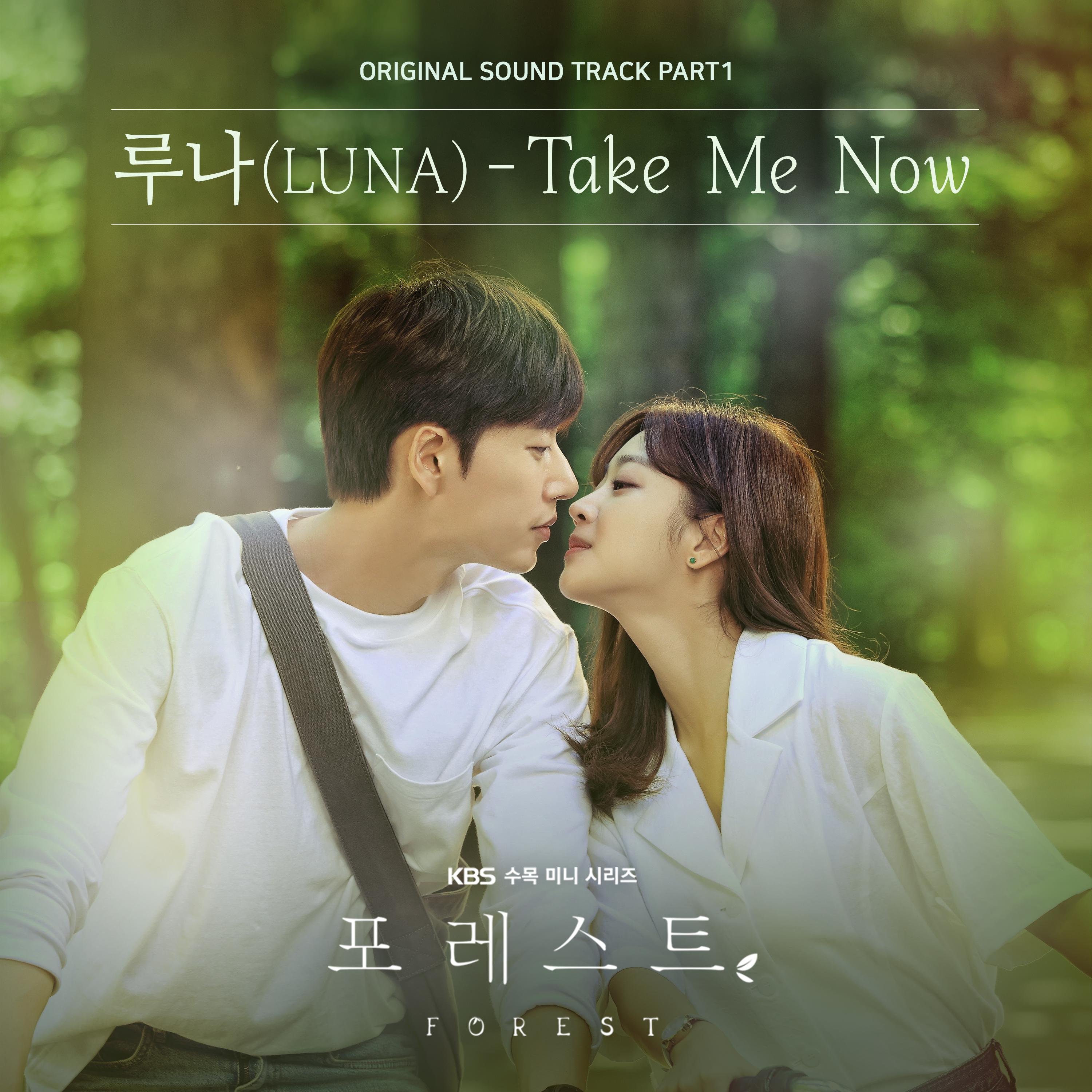 Take Me Now (Inst.)歌词 歌手Luna-专辑포레스트 OST Part.1 - (Forest OST Part.1)-单曲《Take Me Now (Inst.)》LRC歌词下载