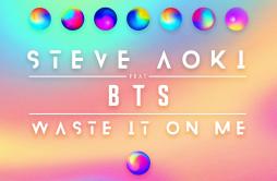 Waste It On Me歌词 歌手Steve AokiBTS (防弹少年团)-专辑Waste It On Me (feat. BTS)-单曲《Waste It On Me》LRC歌词下载