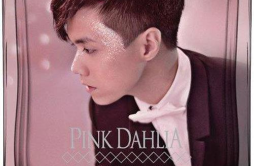 完全因你歌词 歌手张敬轩-专辑Pink Dahlia-单曲《完全因你》LRC歌词下载
