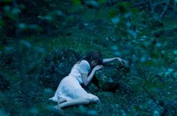 眠りの森歌词 歌手Aimer-专辑眠りの森-单曲《眠りの森》LRC歌词下载