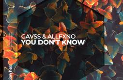 You Don't Know歌词 歌手GavssAllexno-专辑You Don't Know-单曲《You Don't Know》LRC歌词下载