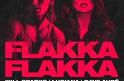 Flakka Flakka (Extended Mix)歌词 歌手Will SparksLucianaDave Audé-专辑Flakka Flakka-单曲《Flakka Flakka (Extended Mix)》LRC歌词下载