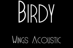 Wings (Acoustic)歌词 歌手Birdy-专辑Wings (Acoustic)-单曲《Wings (Acoustic)》LRC歌词下载