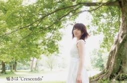 今日も1日大好きでした。歌词 歌手牧野由依-专辑嗫きは"Crescendo"-单曲《今日も1日大好きでした。》LRC歌词下载
