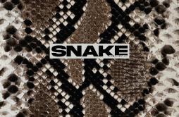 Snake (中文填词版)歌词 歌手野生三十-专辑Snake (中文填词版)-单曲《Snake (中文填词版)》LRC歌词下载