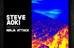 Aurora歌词 歌手Steve AokiNinja Attack-专辑Aurora-单曲《Aurora》LRC歌词下载