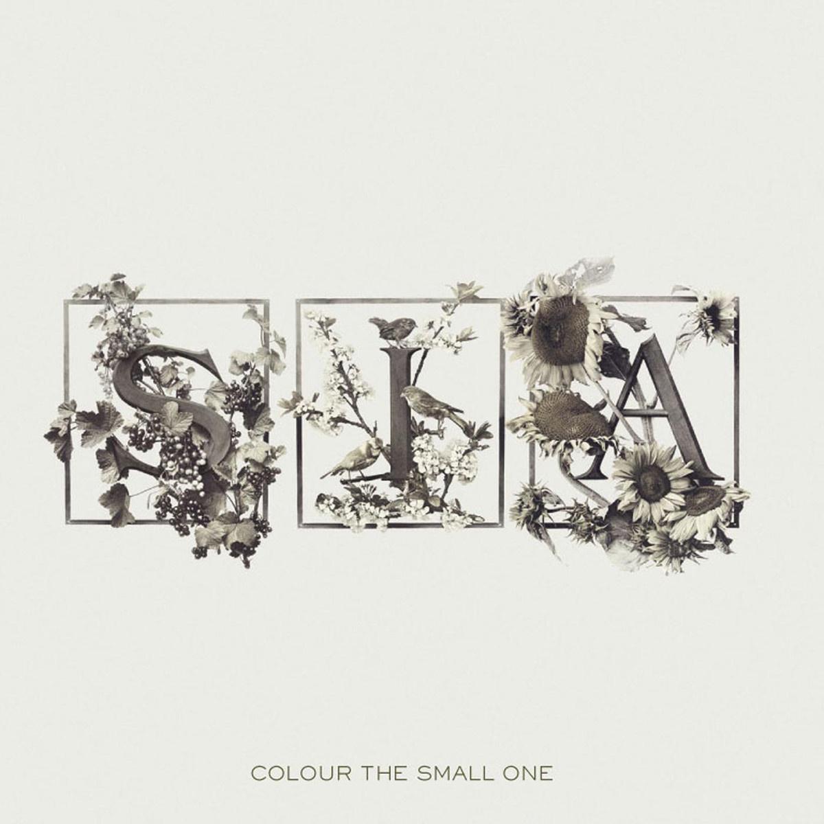 Breathe Me歌词 歌手Sia-专辑Colour The Small One-单曲《Breathe Me》LRC歌词下载