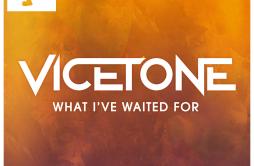 What I've Waited for (feat. D. Brown)歌词 歌手VicetoneD. Brown-专辑What I've Waited For-单曲《What I've Waited for (feat. 