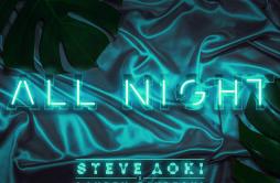 All Night (Alan Walker Remix)歌词 歌手Steve AokiLauren JaureguiAlan Walker-专辑All Night (Remixes)-单曲《All Night (Alan Walker Remix)》LR