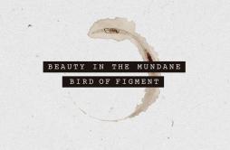 Beauty In The Mundane歌词 歌手Bird Of FigmentCody Francis-专辑Beauty In The Mundane-单曲《Beauty In The Mundane》LRC歌词下载