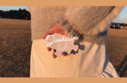Dandelion歌词 歌手HYDN-专辑Dandelion-单曲《Dandelion》LRC歌词下载