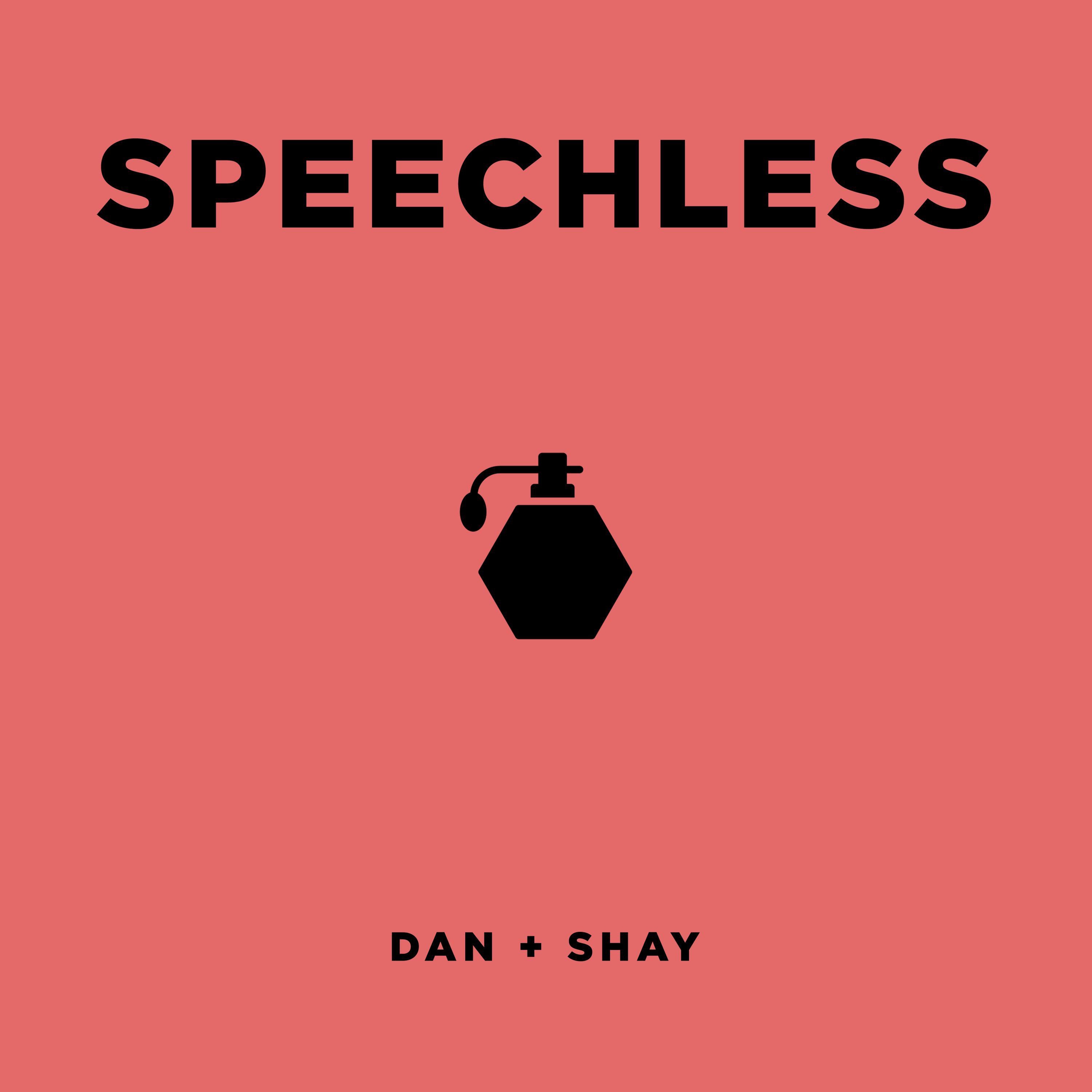 Speechless歌词 歌手Dan + Shay-专辑Speechless-单曲《Speechless》LRC歌词下载