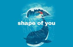 Ed SheeranJ.Fla - Shape of You (Mashup)歌词 歌手ɴᴏᴛʜɪɴɢ.-专辑Shape of You-单曲《Ed SheeranJ.Fla - Shape of You (Mashup)》LRC歌词下载
