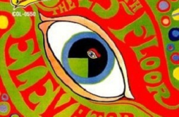 You're Gonna Miss Me歌词 歌手13th Floor Elevators-专辑The Psychedelic Sounds of the 13th Floor ...-单曲《You're Gonna Miss Me》L