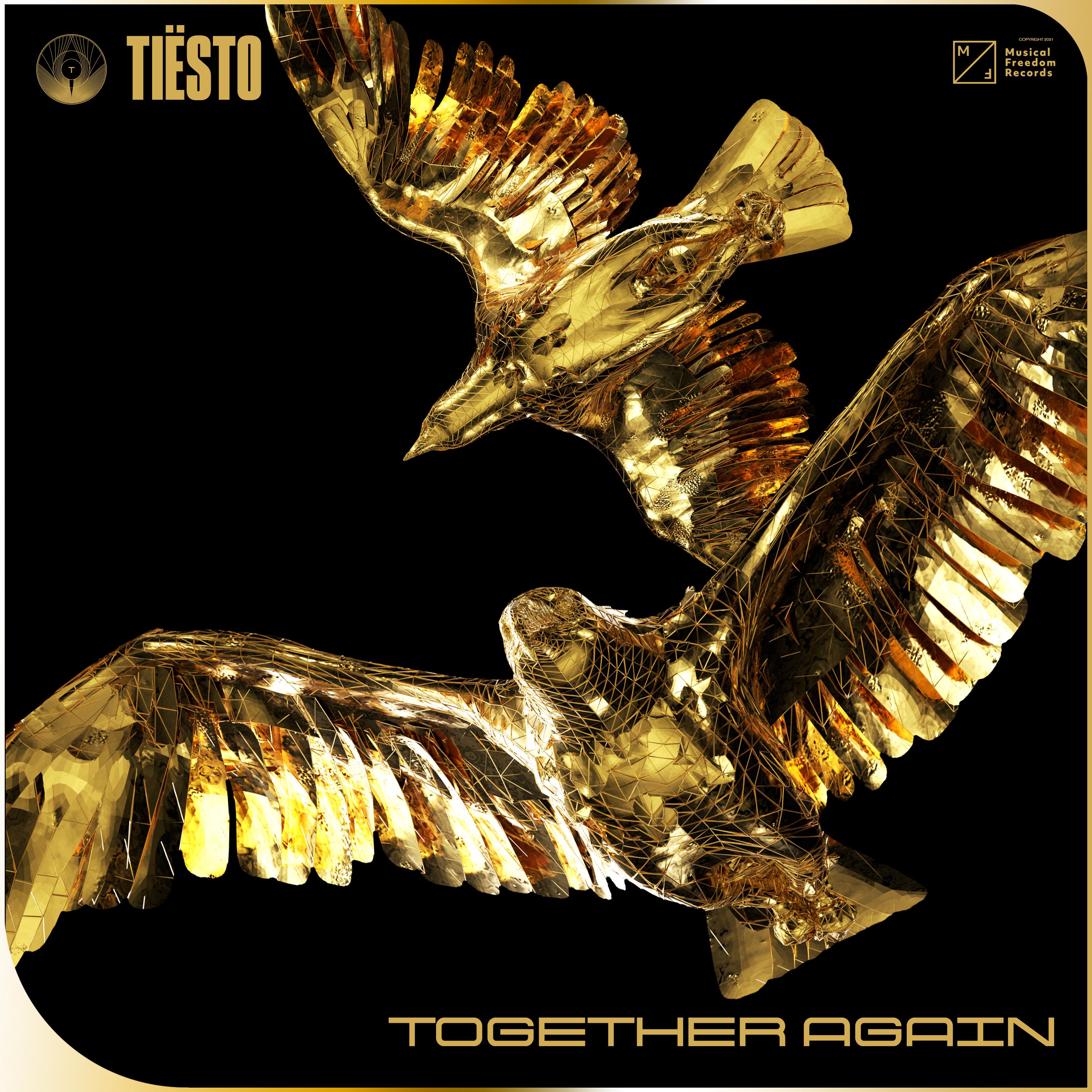 I’ll Take You High歌词 歌手Tiësto-专辑Together Again-单曲《I’ll Take You High》LRC歌词下载