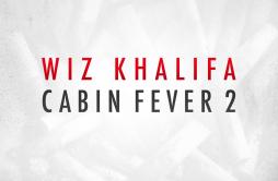 100 Bottles歌词 歌手Wiz KhalifaProblem-专辑Cabin Fever 2-单曲《100 Bottles》LRC歌词下载